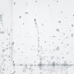 자취방 곰팡이 원인별 제거법 — 7대 발생 부위 근본 차단